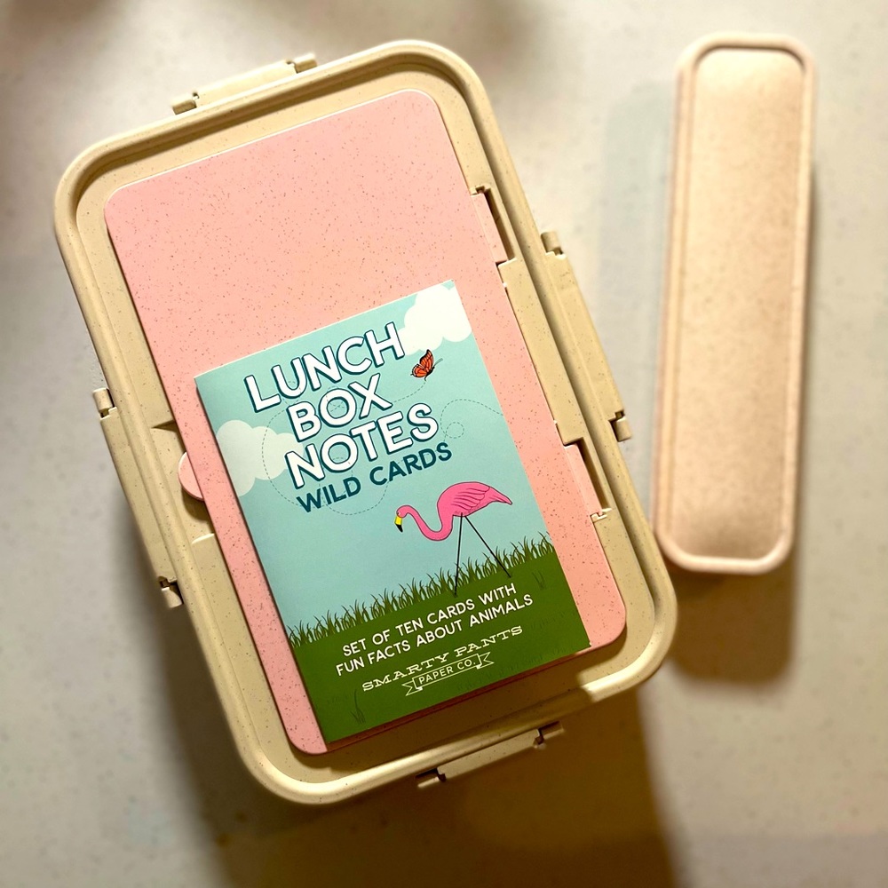 Lunch box and silverware set